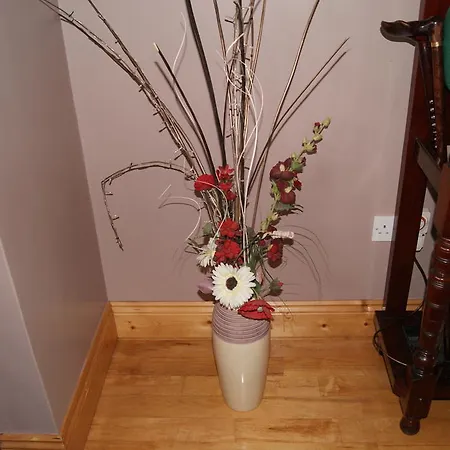 Bed and breakfast Headley Court Shannon