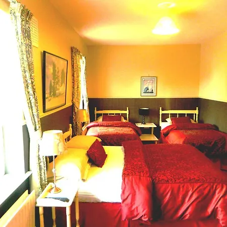 Headley Court Bed and breakfast Shannon