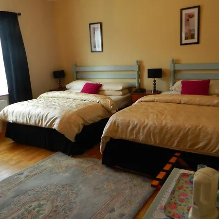 Headley Court Bed and breakfast Shannon