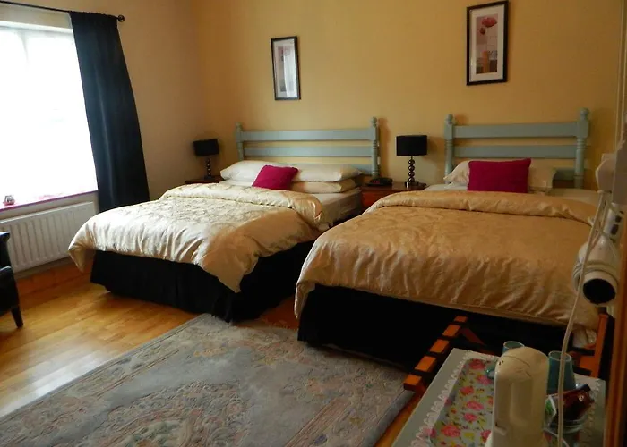 Headley Court B&B 섀넌